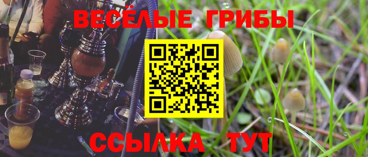 Галлюциногенные грибы Cubensis Симферополь