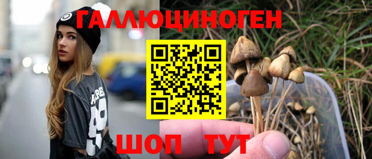 Псилоцибиновые грибы MAGIC MUSHROOMS  Вход с VPN  Галлюциногенные грибы мухоморы  где купить наркоту  Симферополь 